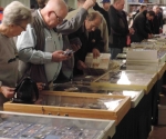Spring 2015 Expo